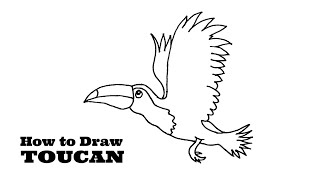 How to Draw a Toucan | Toucan Bird Drawing | Toucan Drawing Tutorial