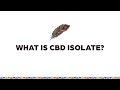 What is CBD Isolate and How-to Use It