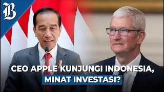CEO Apple Sambangi Indonesia untuk Bertemu Jokowi