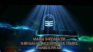 shri mahalingeshwara temple pandeshwar. maha shivaratri celebration 2022.