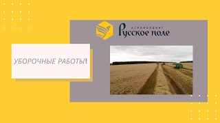 Уборочные работы 2020