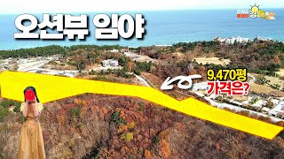 하평해변 바라다보이는 오션뷰 임야 9,470평~갖고 싶어요