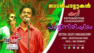 KANI PATTUKOOTTAM   I നാടൻ പാട്ടുകൾ I പാട്ടിനിരിപ്പിടം I EPISODE 13