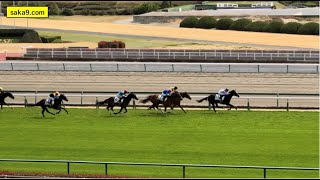 【現地】シャンブル 3歳未勝利