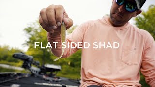 Drop Shot Fishing - Flat Sided Shad Supercharged With BaitFuel