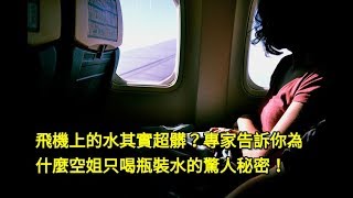 飛機上的水其實超髒？專家告訴你「為什麼空姐只喝瓶裝水」的驚人秘密！