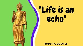 Buddha Quotes-24|Buddha Quotes in English|Lord Murari