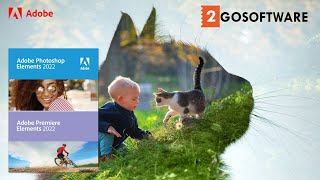 Adobe Photoshop Elements + Premiere Elements 2022, the most creative duo ever!