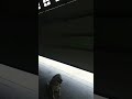 벙커주차장 garage ilu_stagram 전원주택