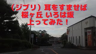 （ジブリ）耳をすませば 桜ヶ丘いろは坂 Tokyo TamaCity Seiseki Sakuragaoka IrohaZaka 東京都多摩市聖蹟桜ヶ丘