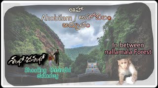 Ahobilam Trip / అహోబిలం శ్రీ లక్ష్మీ నరసింహ స్వామి దేవాలయం / Bhargav Vlogs