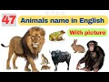 Animals name in English with picture |