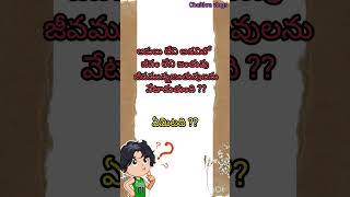 పొడుపు కథలు#చిలిపి ప్రశ్నలు#Telugu riddles#shorts#Subscribe