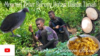 Cari Telur Burung Hutan Dalam Tanah//Eden dan Temannya Gembira Dapat Telur Burung//