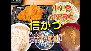 【渋谷ランチ】厚切りとんかつ『信かつ』さん