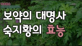 생지황, 건지황, 숙지황의 놀라운 효능[약초방송]