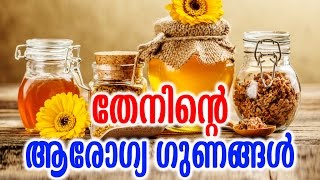 തേനിന്റെ  ആരോഗ്യഗുണങ്ങൾ | Health Benefits Of Honey | Malayalam Tasty World