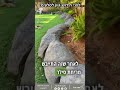 נופי אייל חידוש גינה שהקמנו לפני 10 שנים