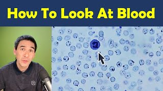 🔬 How to stain and observe Blood under the microscope - Tutorial