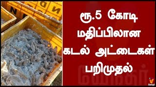 ரூ.5 கோடி மதிப்பிலான கடல் அட்டைகள் பறிமுதல்