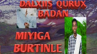 VLOG:__Muqalka dalxis miyiga dagmada BURTINLE__By Tiigsade