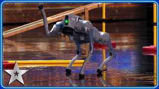 Robotic dog PUZZLES Judges with futuristic routine | Auditions | BGT 2024