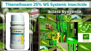 Syngenta का Actara कीटनाशक | Thiamethoxam 25% WG | systemic insecticide | सस्ता और अच्छा कीटनाशक