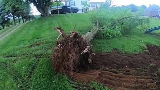 Mini excavator PUSH DOWN TREE