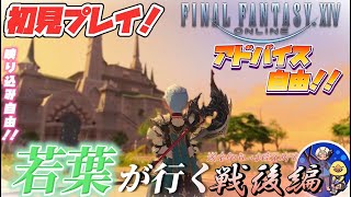 [方言配信] FF14　おいこのゲーム黙々とやり過ぎるんやが　友人kちゃんねる