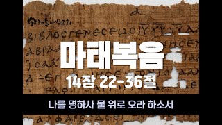 [12월 29일] 마태복음 14절 22-36절