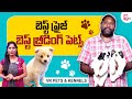 VR PETS & KENNELS | Top Dog Breeds | Best Breed Dogs | Kennels in Hyderabad | SumanTV PETS