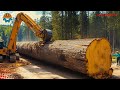 202 Amazing Heavy Duty Chainsaw Machine Working At Another Level