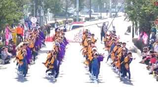 リゾンなるこ会飛鳥　in　つるせよさこい祭り　2015