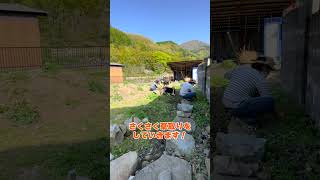 【お庭ドッグラン】倍速動画で草取り風景。作業は大変！動画は気持ちいい！ | ボーダーコリーのレイとオーストラリアンシェパードのハルと楽しむ田舎暮らし | 島根県津和野町で田舎暮らし | #shorts