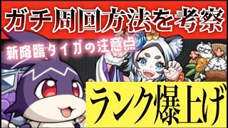 【けいウサ】“ランク上げガチ勢”の考えた効率の良いタイガ周回編成を紹介します