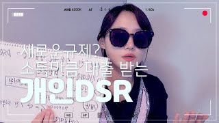 새로운 대출규제라고? 개인별 DSR