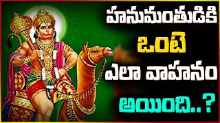 హనుమంతుడికి  ఒంటె ఎలా వాహనం అయింది..? | facts about hanuman | Sri BHakthi VOV