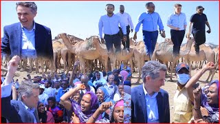 Xildhibaan Gavin Williamsom Iyo Weftigii Barlamaanka Uk  Maxay Kusoo Arkeen Saylada Xoolaha Hargeisa