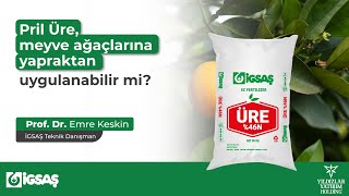 Pril Üre, meyve ağaçlarına yapraktan uygulanabilir mi?