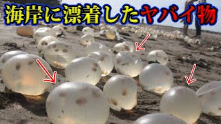 海岸に流れ着いた謎の球体の正体がヤバイ！