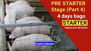 Pre starter stage (Part 4) 4 days bago STARTER (Transition) l 9 Batch fatteners l Dodong Villaran