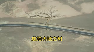 开三轮车冬季自驾游西藏、阿里，打卡自然景观大地之树，太壮观了