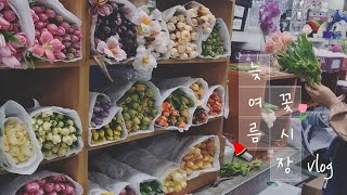 [Vlog]여름이 지나고 가을로 넘어가는 고터 꽃시장