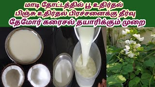 மாடி தோட்டத்தில் பூ உதிர்வு பிஞ்சு உதிர்வு பிரச்சனைக்கு தீர்வு||தேமோர் கரைசல் தயாரிக்கும் முறை