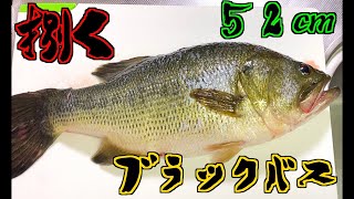 釣ったブラックバスを揚げ出しにしてみた