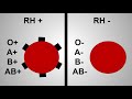 blood types and rh factor explained