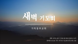 [가락동부교회] 2025.02.04 / 새벽기도회 /