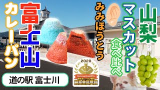 【車中泊＆山梨県産シャインマスカット食べくらべ】山梨旅の醍醐味！秋の絶品フルーツを堪能！！富士山カレーパンとみみほうとうも！【道の駅富士川で車中泊】