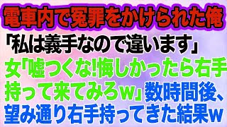 【スカッとする話】電車内で冤罪をかけられた俺「義手なので違います！！」女「嘘つくな！悔しかったら右手を持って来てみろｗ」→数時間後、俺「右手をお持ちしました」女「えっ！」