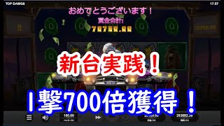 【オンラインカジノ】新台実践！固定ワイルド＆マルチプライヤーで勝利をつかめ！【TOP DAWGS】